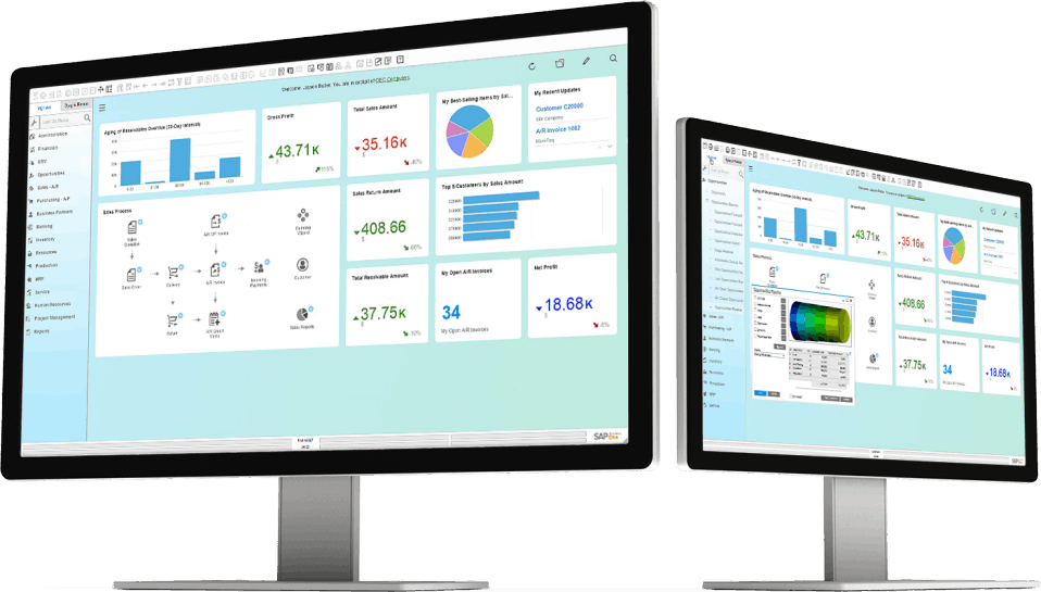 SAP Business One - Gestione Vendite e Clienti